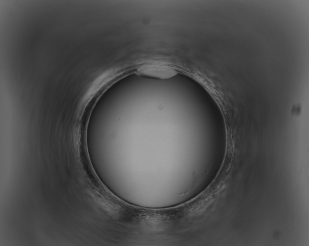 X0000095680199200801081111
