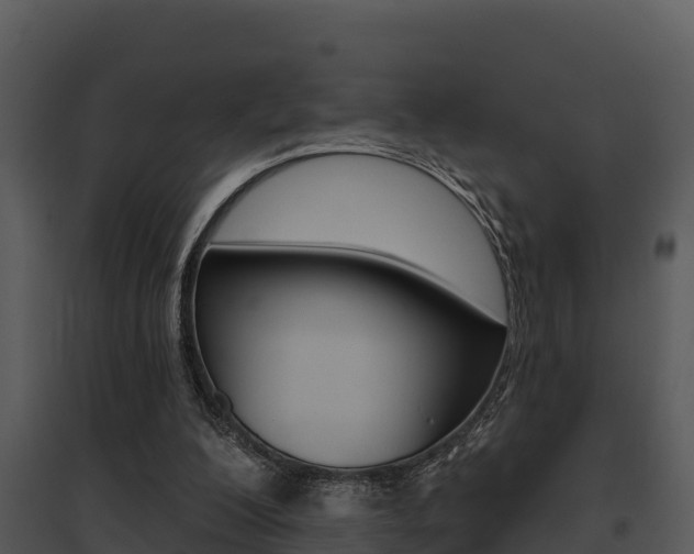 X0000095680200200801081111