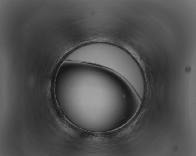 X0000095680201200801081111