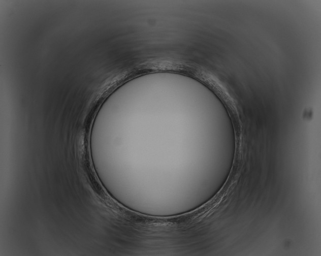 X0000095680202200801081111