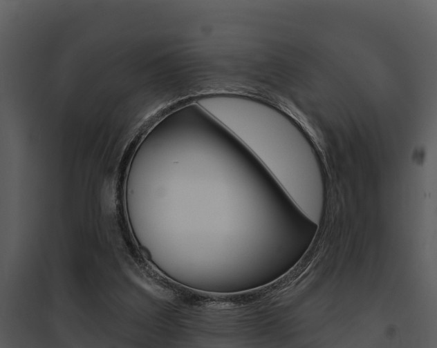 X0000095680203200801081111