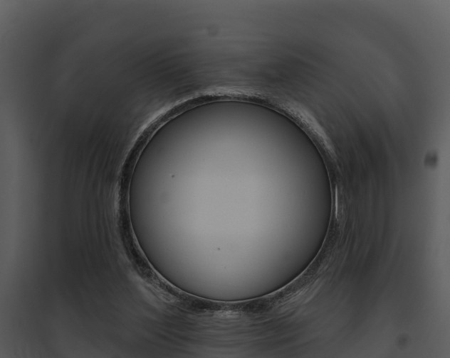 X0000095680204200801081111