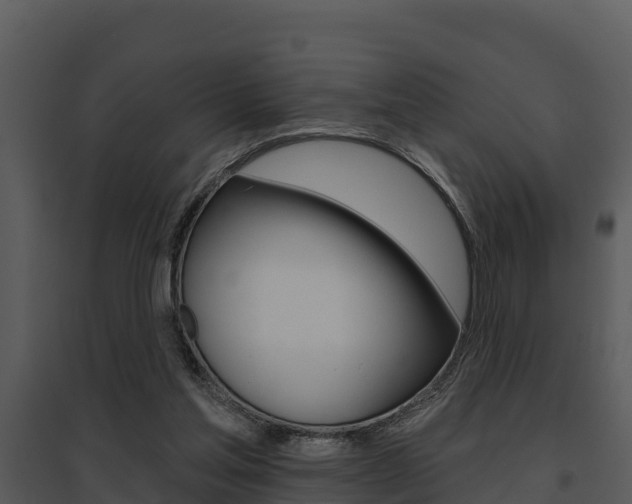 X0000095680205200801081111