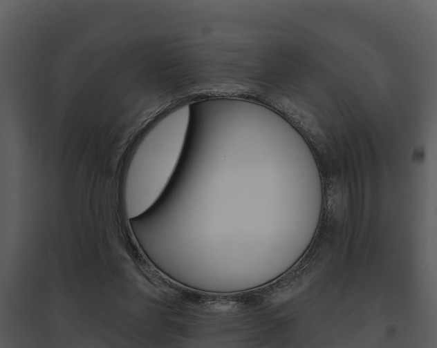 X0000095680206200801081111