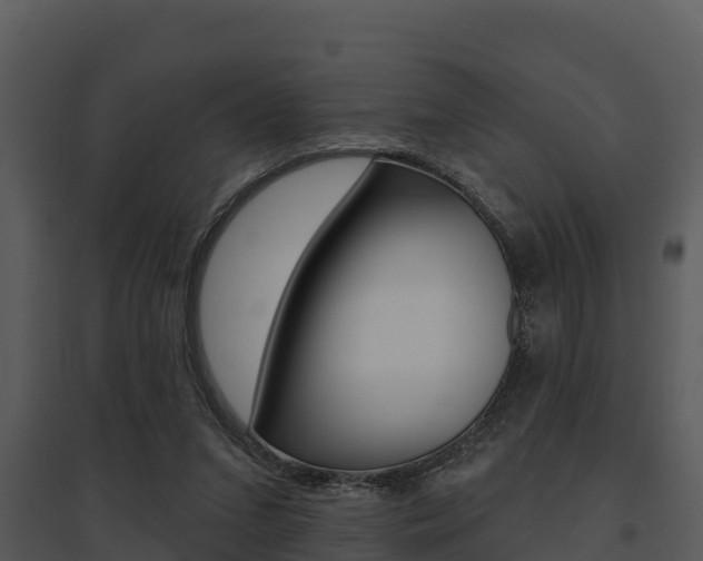 X0000095680207200801081111