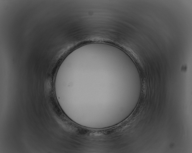X0000095680208200801081111