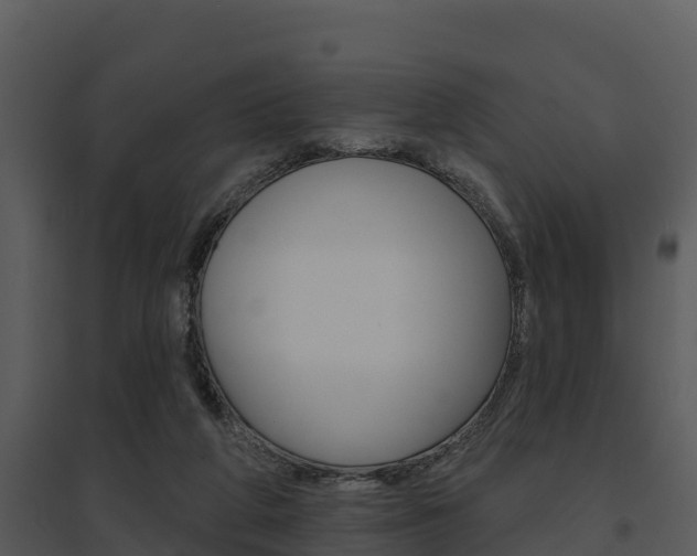 X0000095680210200801081111