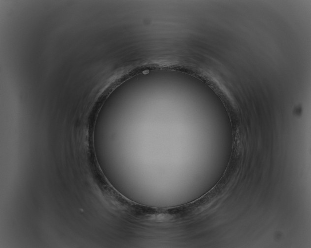 X0000095680212200801081111