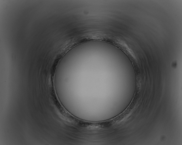 X0000095680213200801081111