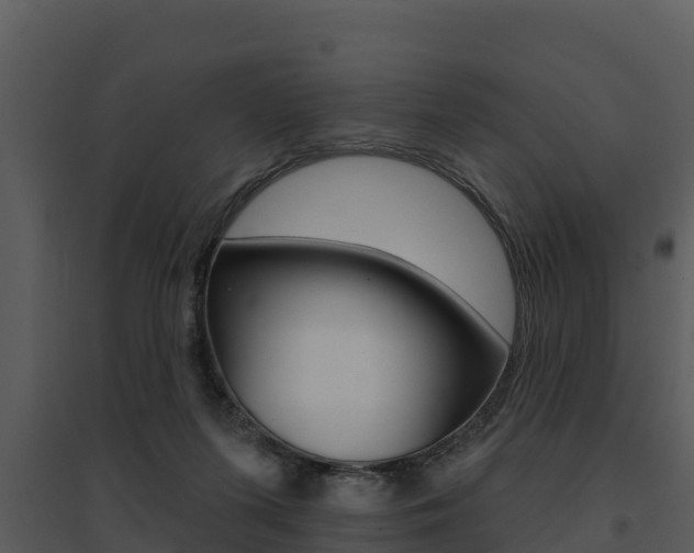 X0000095680215200801081111