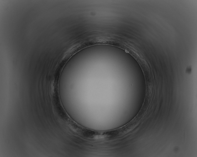 X0000095680216200801081111
