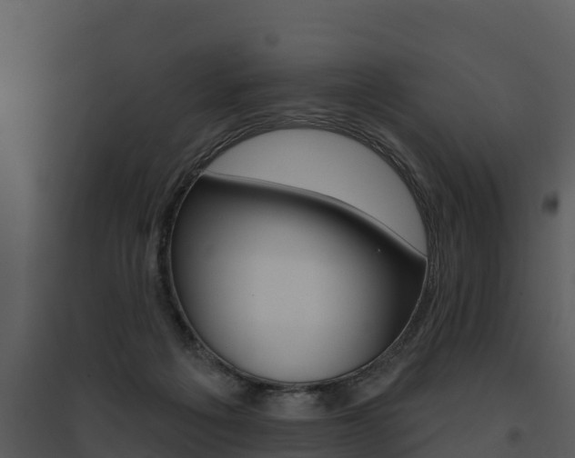 X0000095680217200801081111