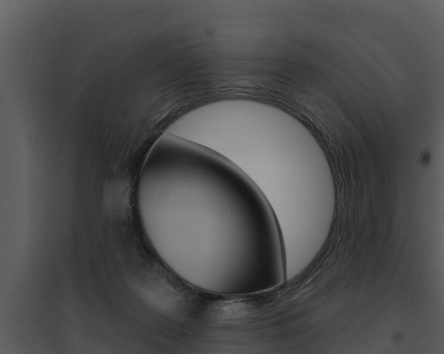 X0000095680219200801081111