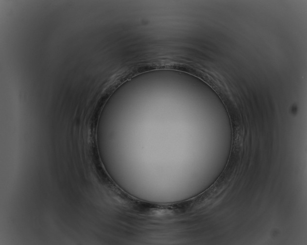X0000095680220200801081111