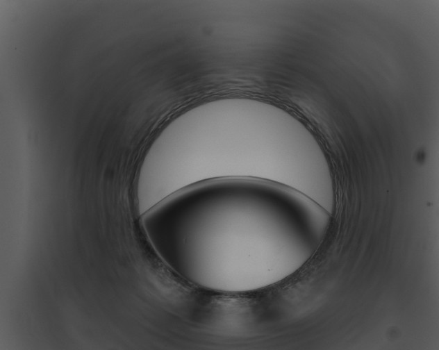 X0000095680221200801081111