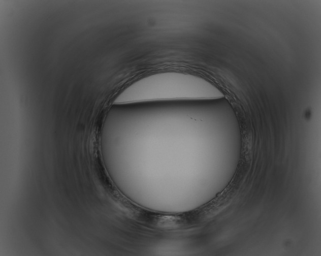 X0000095680222200801081111