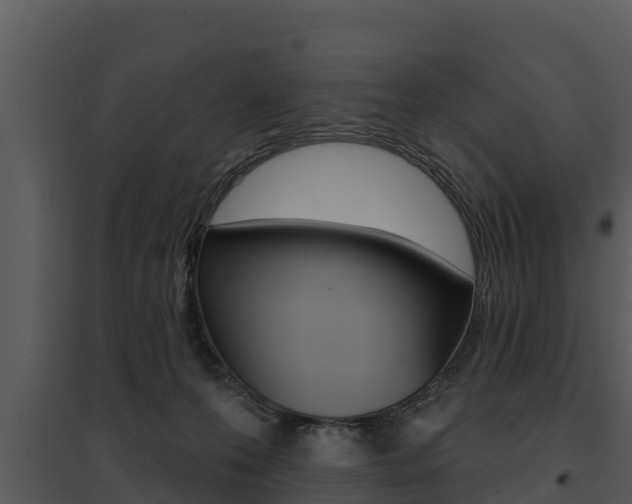 X0000095680223200801081111