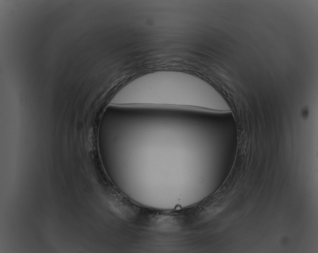 X0000095680224200801081111