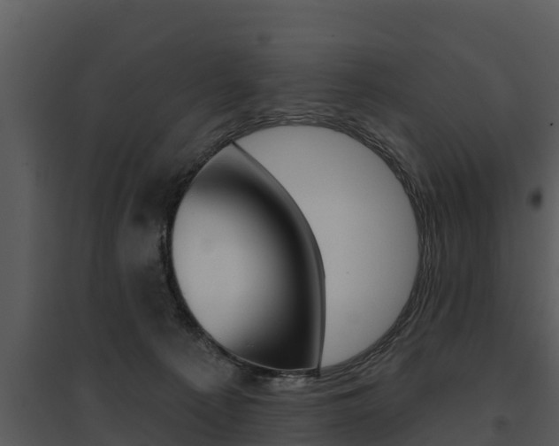X0000095680225200801081111