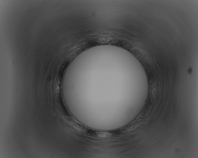 X0000095680226200801081111
