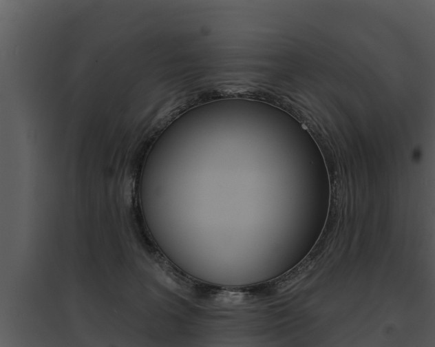 X0000095680227200801081111