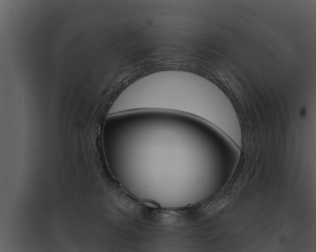 X0000095680229200801081111