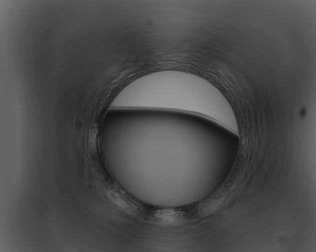 X0000095680231200801081111