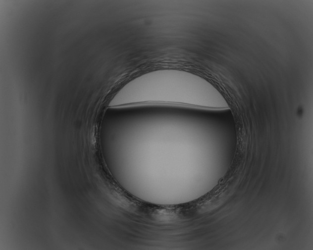 X0000095680232200801081111