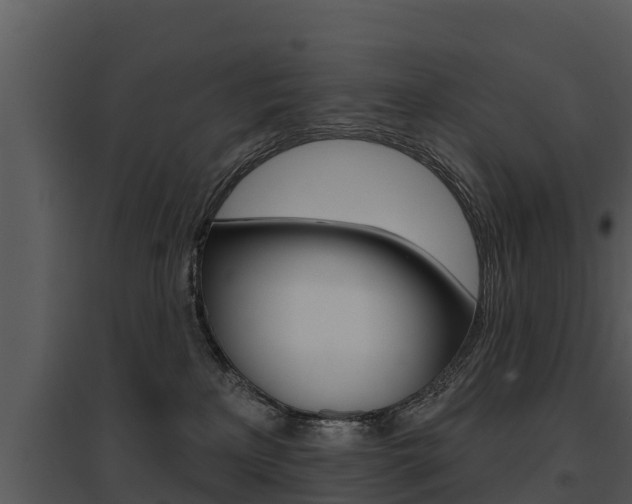 X0000095680233200801081111