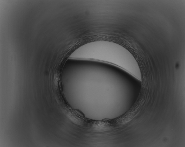X0000095680235200801081111