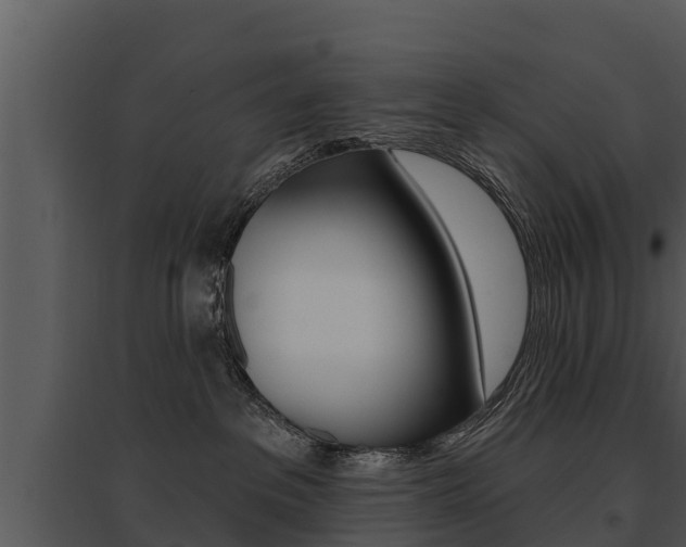 X0000095680237200801081111