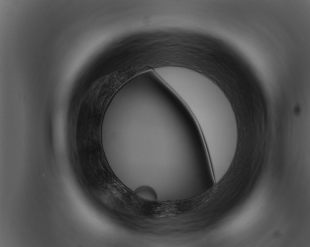 X0000095680239200801081111
