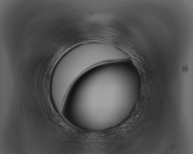X0000095680241200801081110