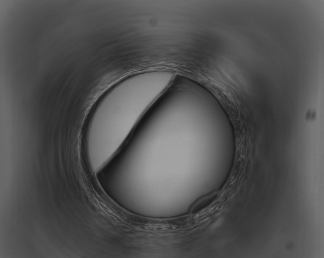 X0000095680242200801081110