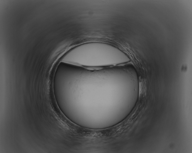 X0000095680243200801081110