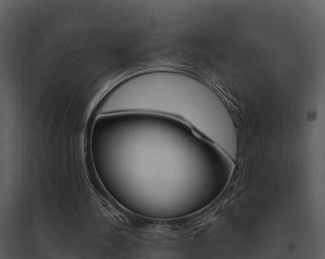 X0000095680244200801081110