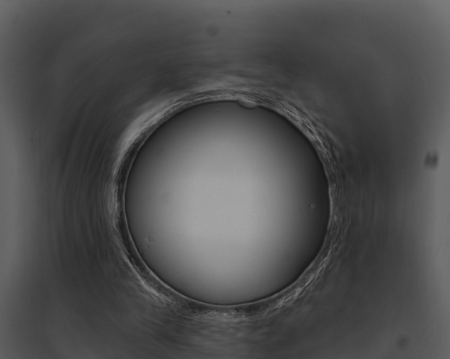 X0000095680245200801081110
