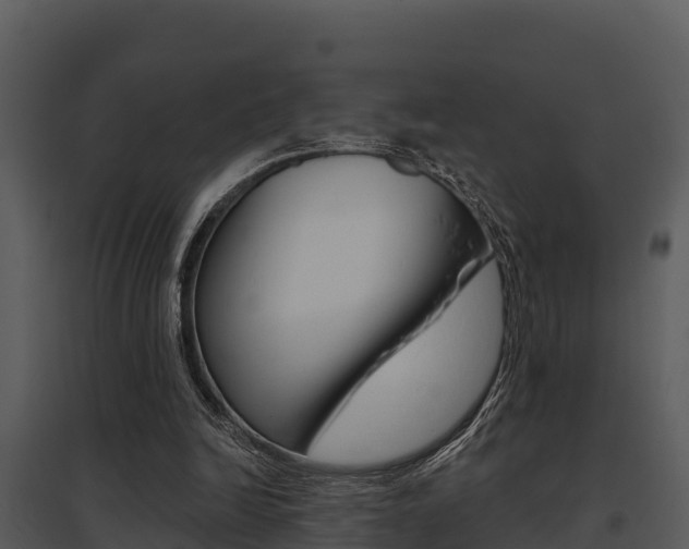 X0000095680246200801081110