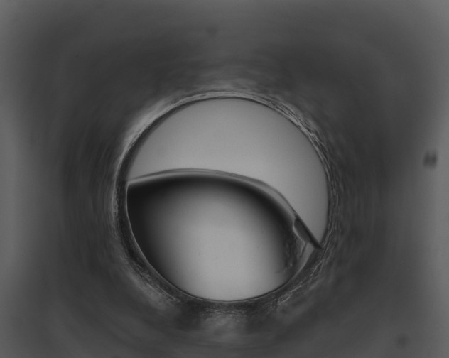 X0000095680248200801081110