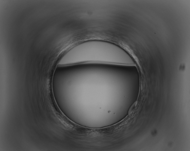 X0000095680249200801081110