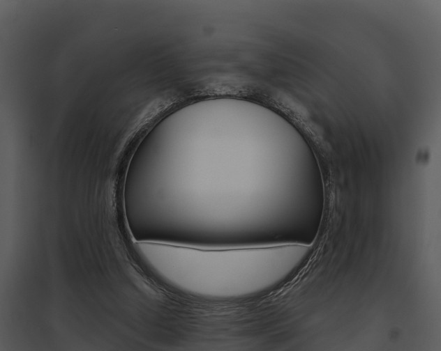X0000095680250200801081110