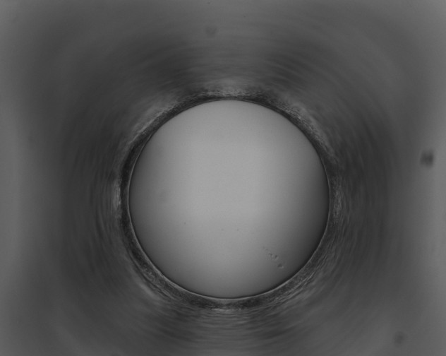 X0000095680251200801081110
