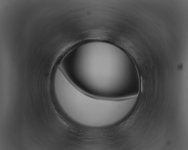 X0000095680252200801081110