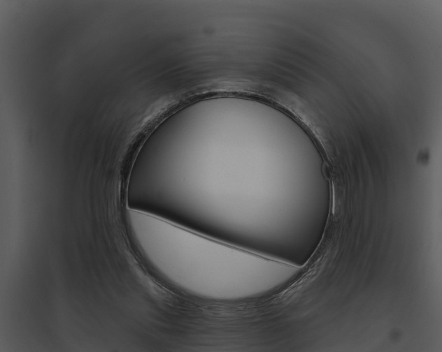 X0000095680253200801081110