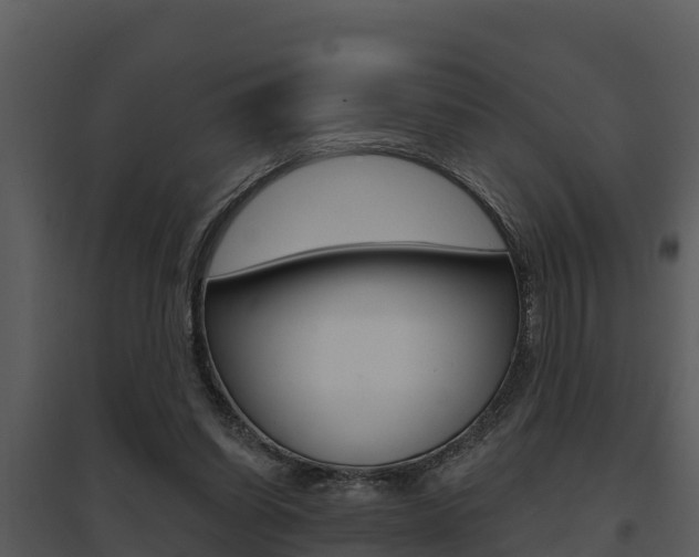 X0000095680254200801081110