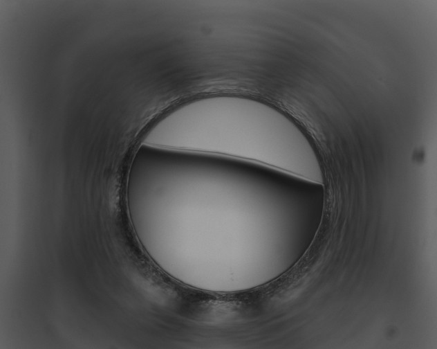 X0000095680255200801081110