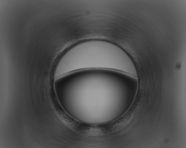 X0000095680256200801081110