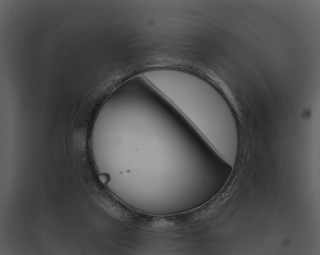 X0000095680257200801081110