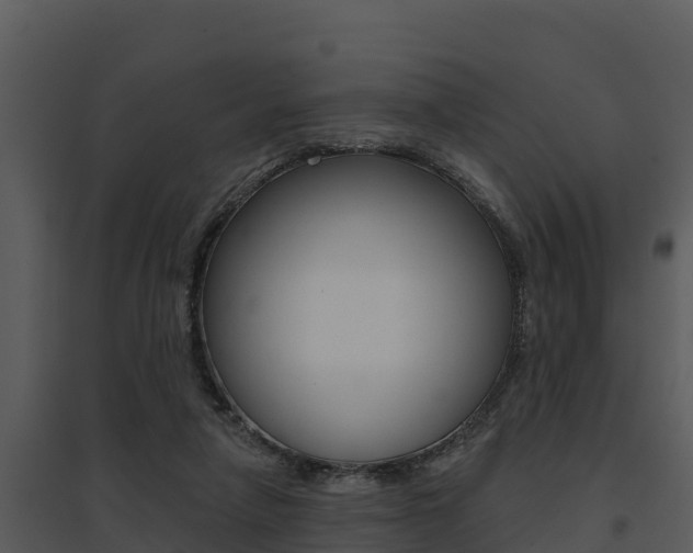 X0000095680258200801081110