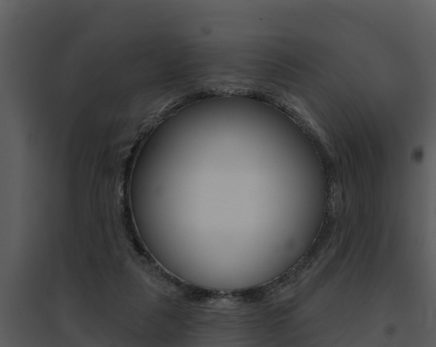 X0000095680259200801081110